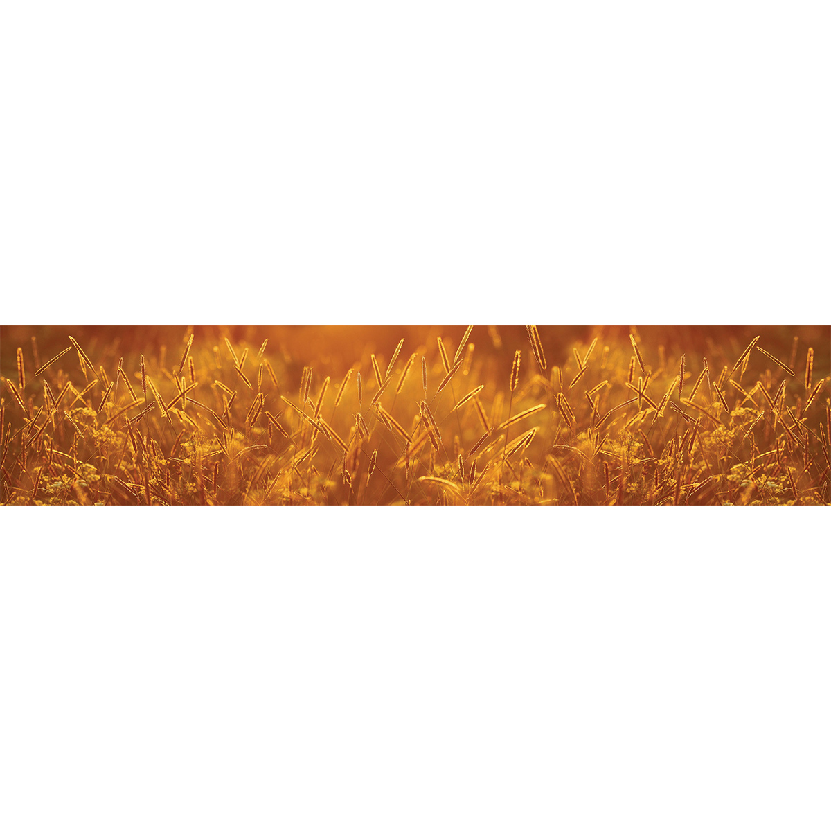 Sp 170. SP-0170.
