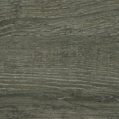 Дуб оливковый