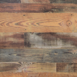 Сосна Бурбон